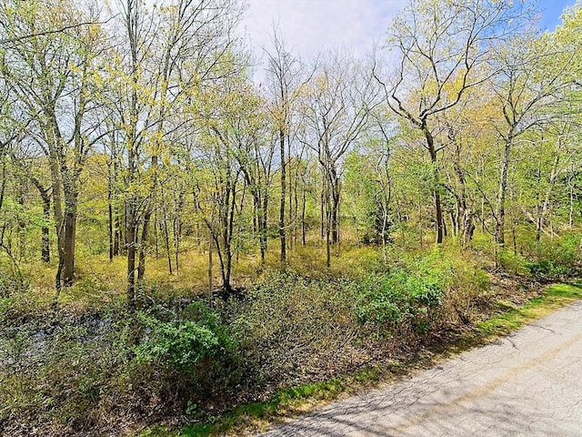view of local wilderness with a forest view