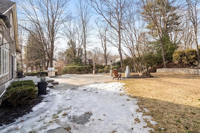 view of yard featuring a patio