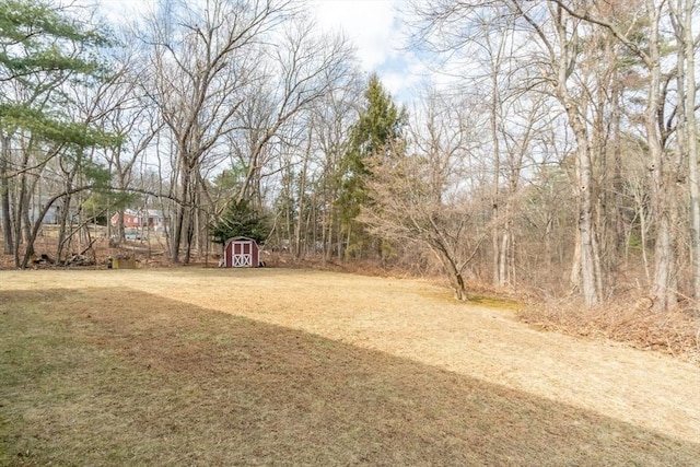 view of yard with a storage shed and an outbuilding