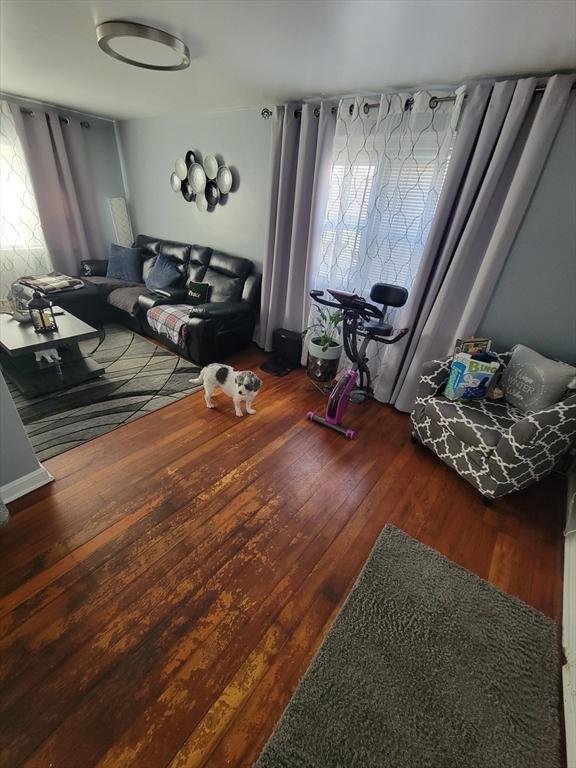 living area featuring hardwood / wood-style flooring