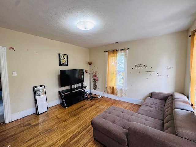 14 Gage St, Worcester, MA 01605 - living room with wood finished floors and a textured ceiling