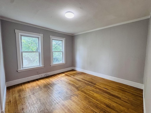 14 Gage St, Worcester, MA 01605 - spare room featuring ornamental molding and hardwood / wood-style floors