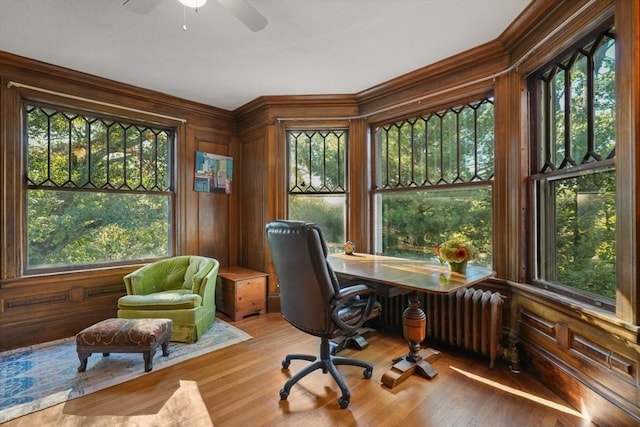 home office with ornamental molding, plenty of natural light, ceiling fan, radiator, and wood finished floors