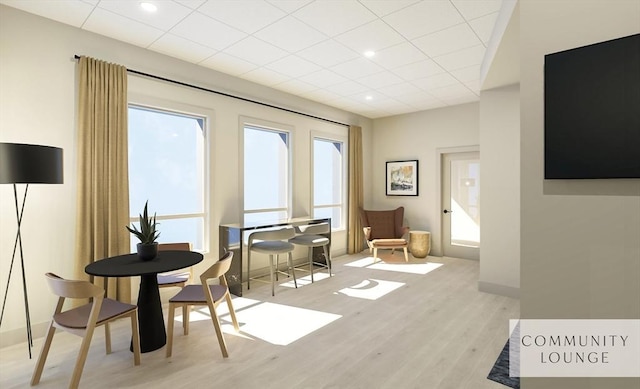 living area featuring light hardwood / wood-style floors, a drop ceiling, and a healthy amount of sunlight