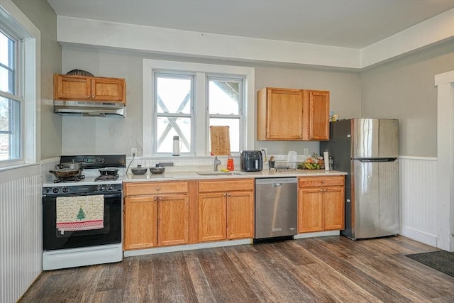 kitchen with under cabinet range hood, a wainscoted wall, light countertops, appliances with stainless steel finishes, and a sink