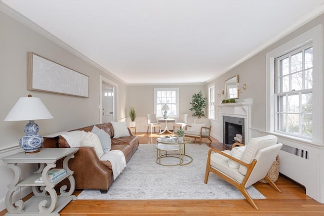 living room with crown molding, radiator, and light wood-type flooring