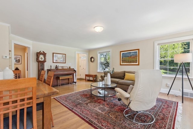 25 Piety Corner Rd, Waltham, MA 02451 - living room with plenty of natural light, light wood finished floors, and baseboards