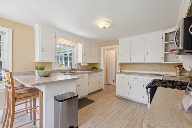25 Piety Corner Rd, Waltham, MA 02451 - kitchen featuring a sink, light wood-style floors, a peninsula, appliances with stainless steel finishes, and white cabinets