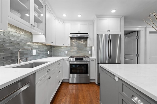 256 W Newton St Unit 1, Boston, MA 02116 - kitchen featuring stainless steel appliances, a sink, under cabinet range hood, glass insert cabinets, and tasteful backsplash