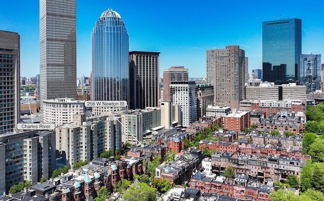 256 W Newton St Unit 1, Boston, MA 02116 - view of city skyline