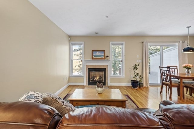 living room featuring a tile fireplace and light hardwood / wood-style floors