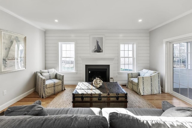 living room featuring baseboards, wood finished floors, a fireplace, and crown molding
