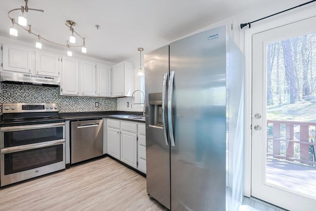 kitchen with under cabinet range hood, stainless steel appliances, a wealth of natural light, and a sink