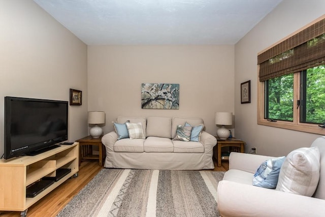 3 Dogwood Cir Unit 3, Franklin, MA 02038 - living area with wood finished floors