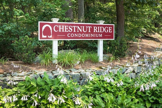 3 Dogwood Cir Unit 3, Franklin, MA 02038 - view of community sign