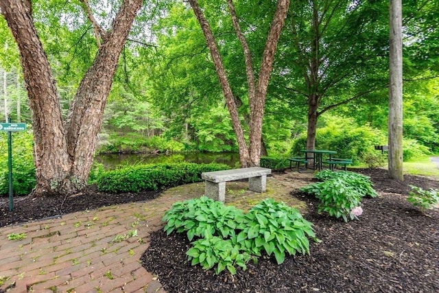 14 Sanford St Unit 21, Medway, MA 02053 - view of yard