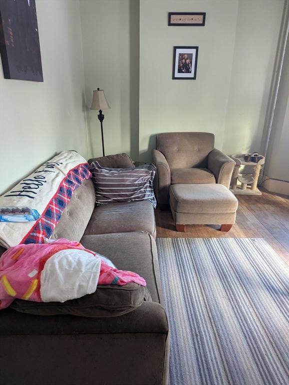 living room featuring hardwood / wood-style flooring