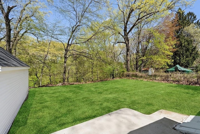 view of yard with a patio and a wooded view