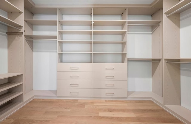 walk in closet with wood-type flooring