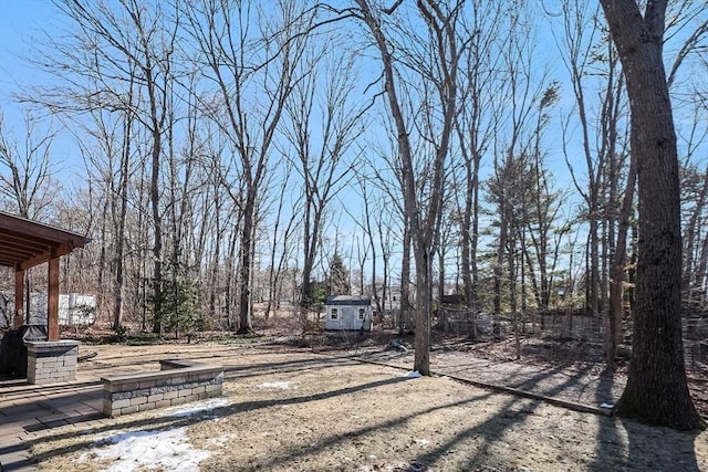 view of yard featuring a shed