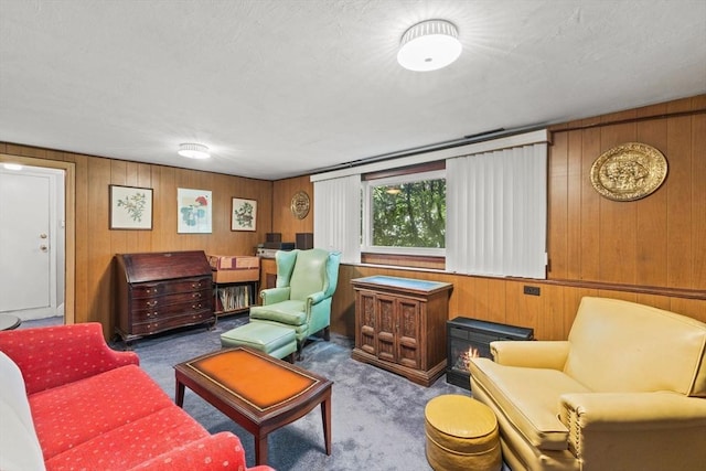 16 Fencourt, Canton, MA 02021 - carpeted living area with wood walls