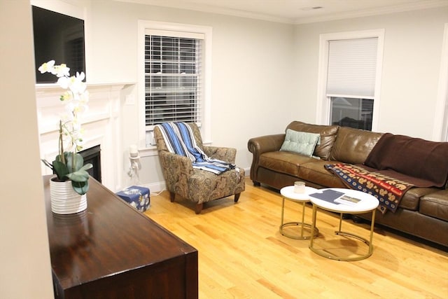 living area featuring ornamental molding, a fireplace, and wood finished floors