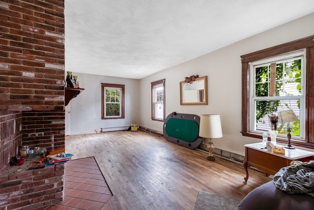 living room featuring hardwood / wood-style floors and baseboard heating