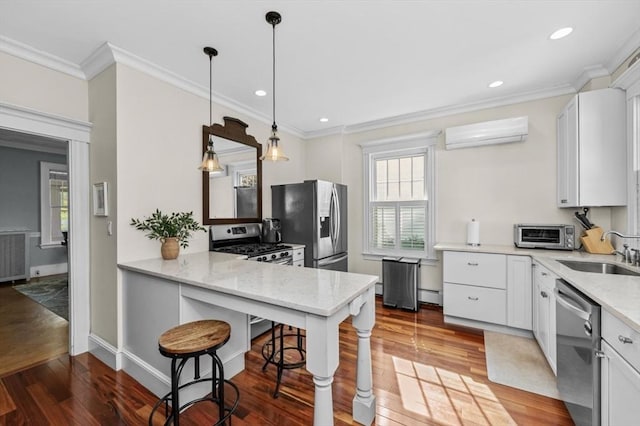 kitchen featuring appliances with stainless steel finishes, a sink, an AC wall unit, crown molding, and wood finished floors