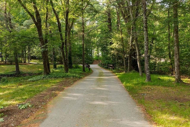 11 Running Stream Rd, Rehoboth, MA 02769 - view of road with a forest view