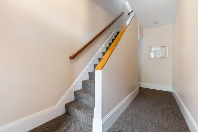 staircase with carpet floors