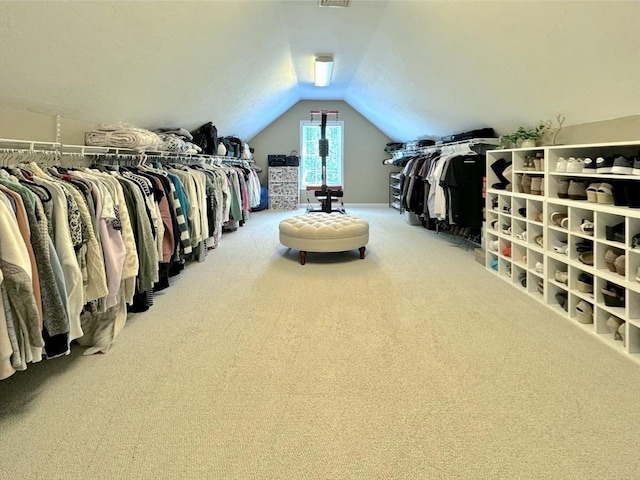 111 Country Club Pl, Southbridge, MA 01550 - walk in closet featuring carpet flooring and vaulted ceiling