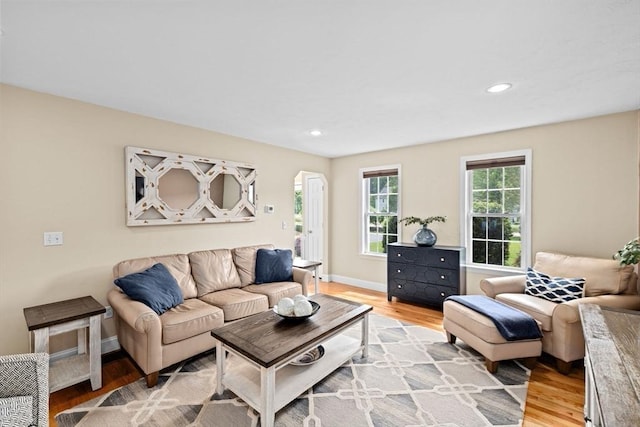102 Saddleworth Way, Middleboro, MA 02346 - living room with light wood-style floors and recessed lighting