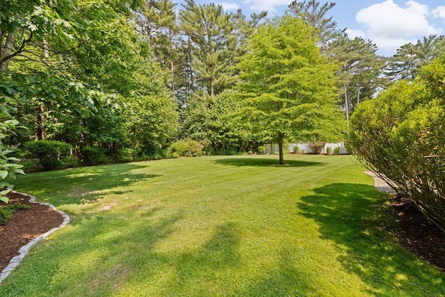 102 Saddleworth Way, Middleboro, MA 02346 - view of green lawn