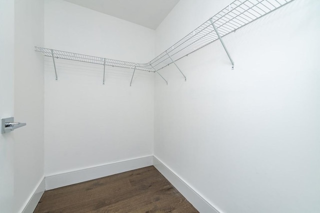 spacious closet with dark wood finished floors