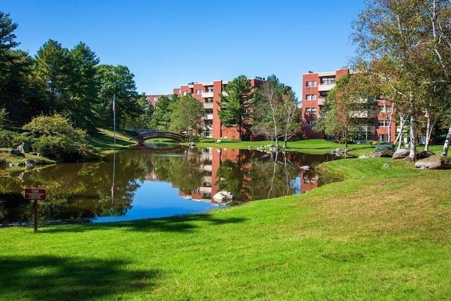 99 Florence St Unit 40-2B, Newton, MA 02467 - water view