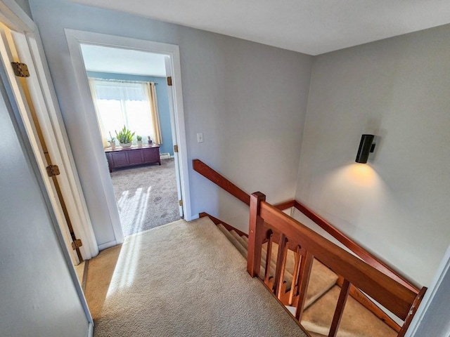 corridor featuring light colored carpet