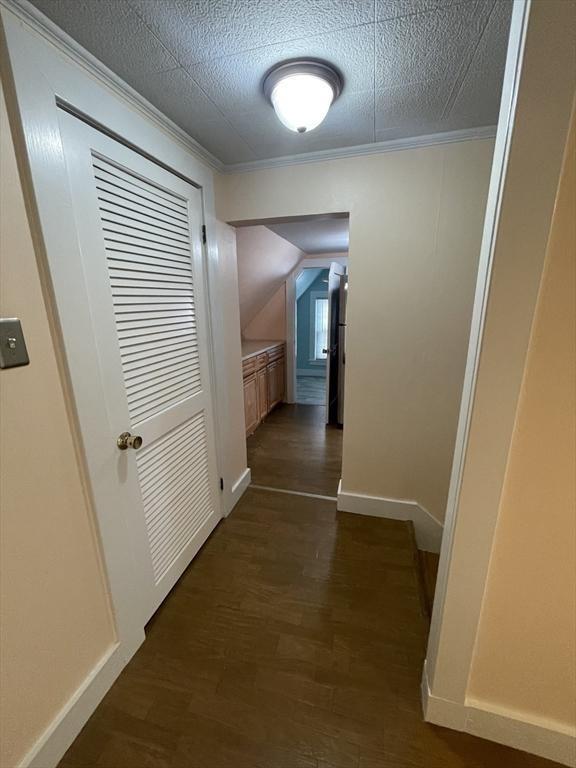 3 Camden St, South Hadley, MA 01075 - corridor with baseboards, ornamental molding, and dark wood-style flooring