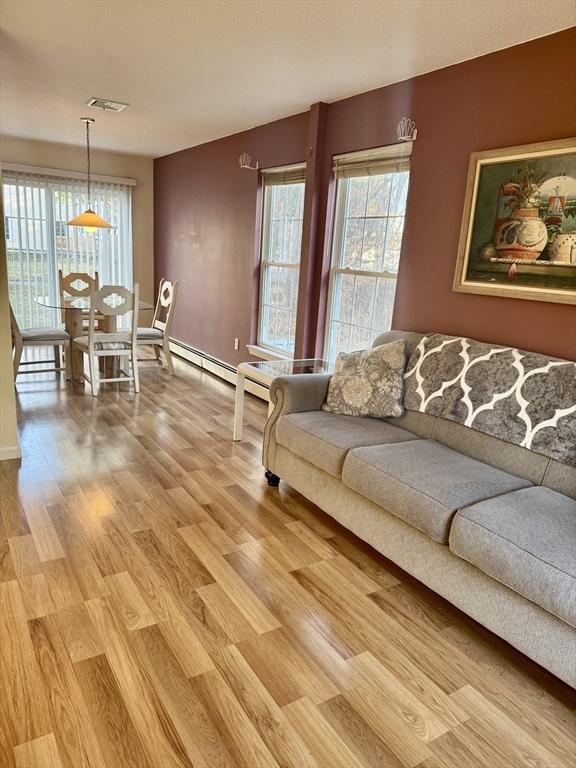 living room with a baseboard radiator, plenty of natural light, and light hardwood / wood-style floors