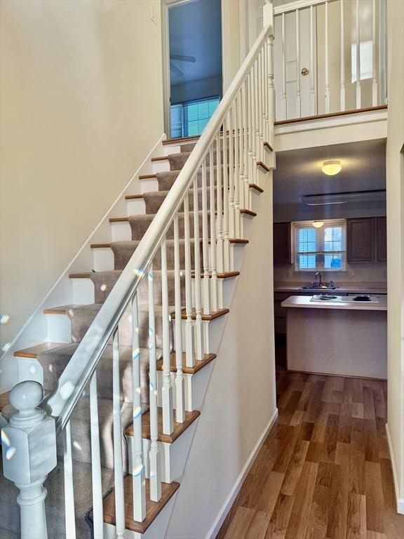 staircase with hardwood / wood-style floors and a wealth of natural light