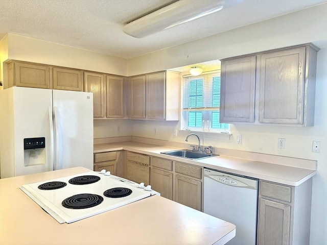 kitchen with white appliances, sink, and a textured ceiling