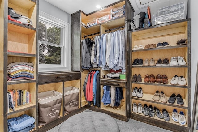 34 Cedar St, Hopkinton, MA 01748 - walk in closet featuring carpet flooring