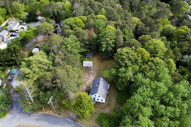 301 Main St, Dennis, MA 02639 - view of property location with a heavily wooded area