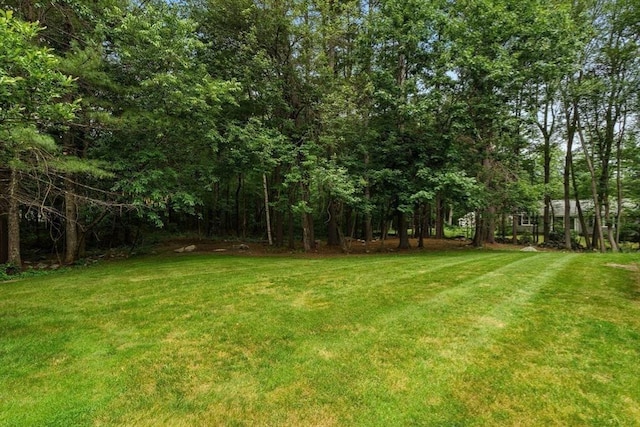 453 Forest St, North Andover, MA 01845 - view of green lawn