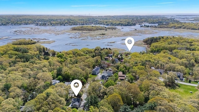 aerial view of a heavily wooded area and a large body of water