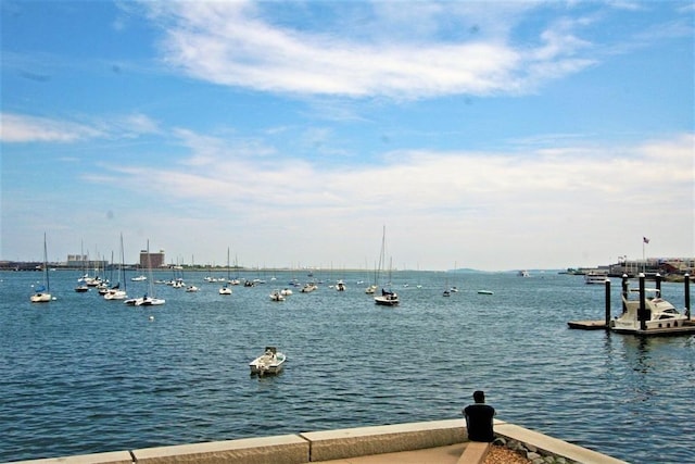 view of water feature with a dock