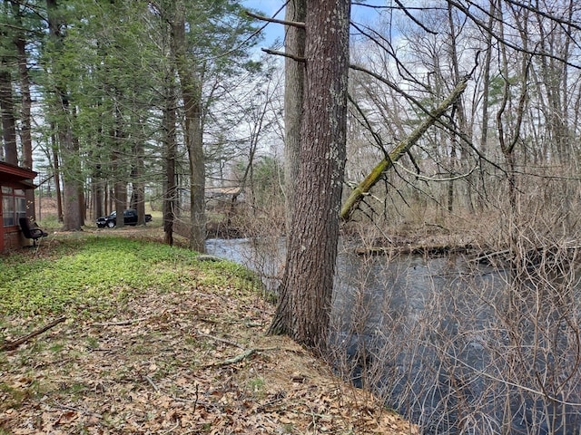 view of yard with a water view