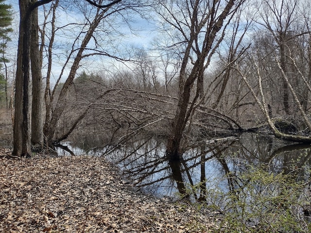 view of mother earth's splendor featuring a water view