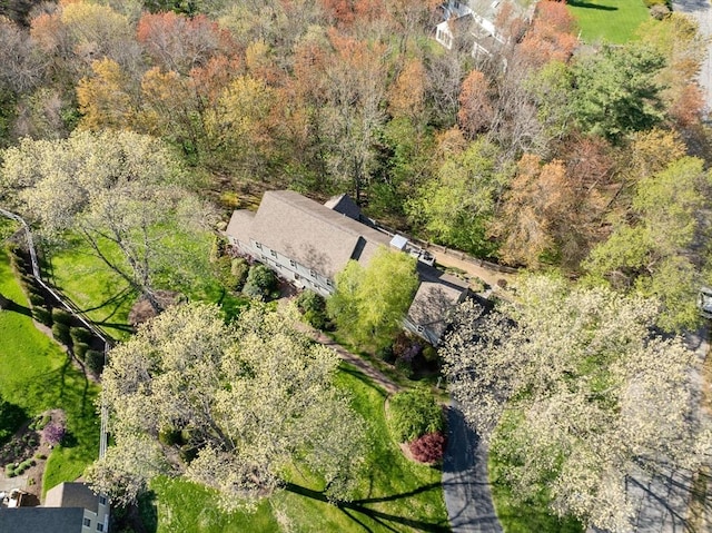 bird's eye view featuring a view of trees