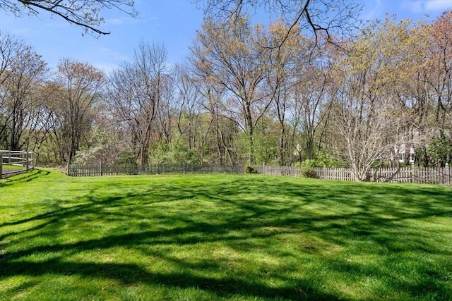 view of yard with a fenced backyard