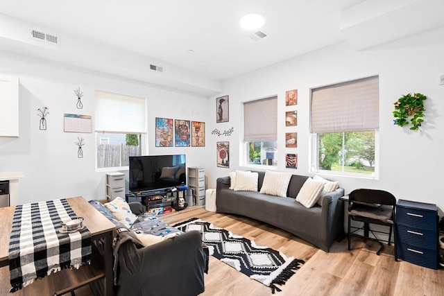 50 Frankfort St Unit 1, Fitchburg, MA 01420 - living room featuring light wood-style floors